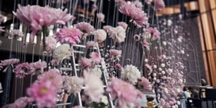Frame 24